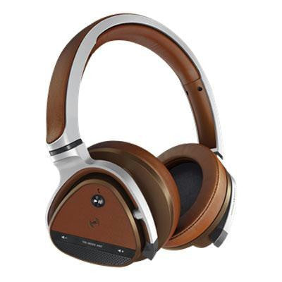 Aurvana Platinum BT ANC Hdphn