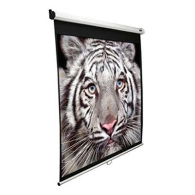 100" Diag Manual PullDown Scrn