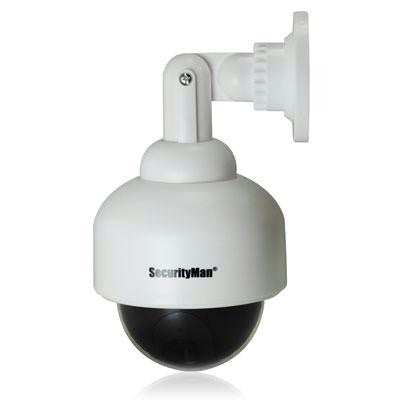 InOut Dummy Dome Camera