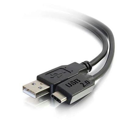 12ft USB C 2.0 M A M