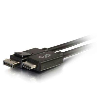 6' Displayport Adapter Cable