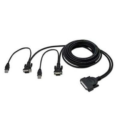 Dual-Port KVM Cable 12' USB