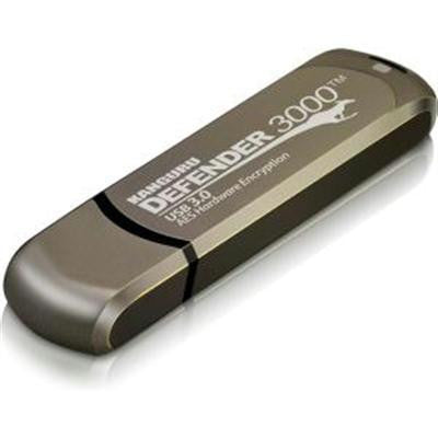 4GB Defender 3000 Secure