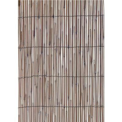 Reed Fencing Medium 13 'x 5'